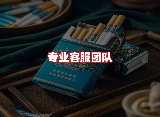 专业团队
